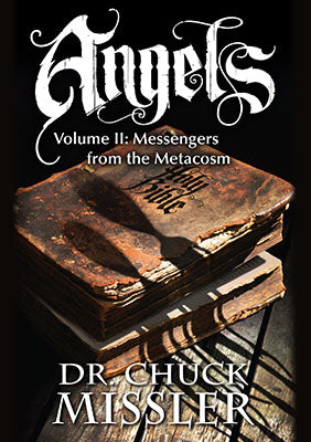 Angels, Volume II: Messengers from the Metacosm - Book